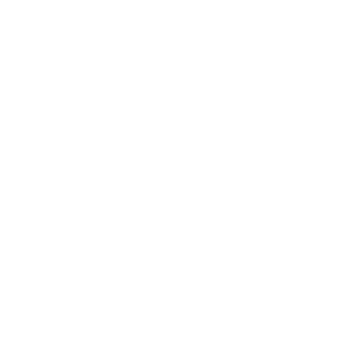 VA Logo